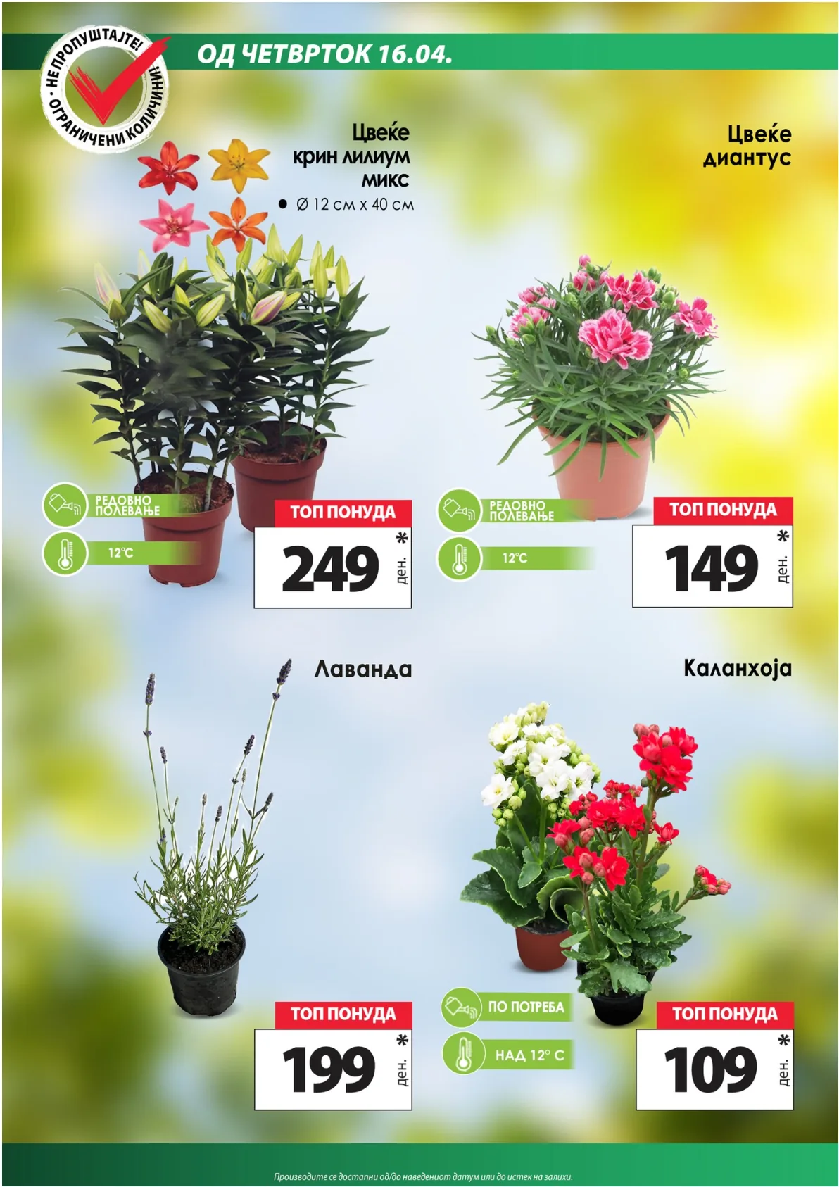 КАМ КАТАЛОГ page 11