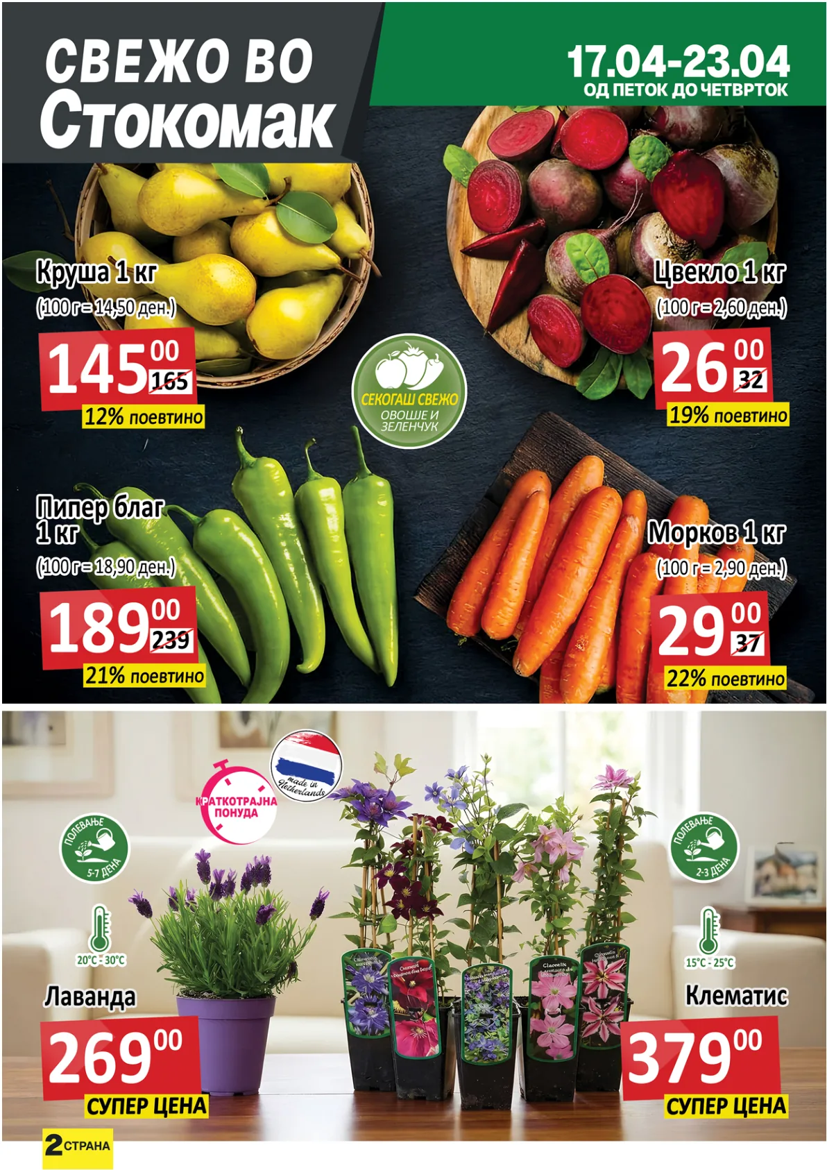 СТОКОМАК КАТАЛОГ страница 2