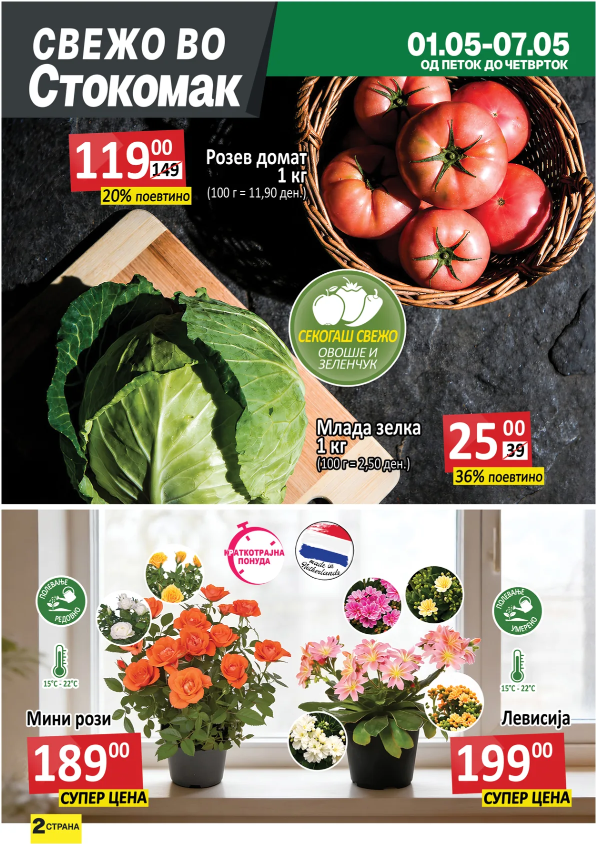 СТОКОМАК КАТАЛОГ page 2